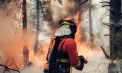 Spania este din nou sub asediul incendiilor: echipele de intervenție încearcă să oprească extinderea focarelor înaintea unui nou episod de căldură extremă - VIDEO