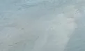 Imagini alarmante de pe Nistru: în mijlocul râului se formează o „insulă”. Ce spun specialiștii - VIDEO