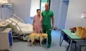 Premieră medicală mondială în Italia: medicii din Torino au realizat cu succes primul transplant de maculă, partea centrală a retinei - VIDEO