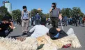 Protest cu scandal la București: crescătorii de oi și capre s-au ciocnit cu jandarmii după interzicerea exporturilor de animale vii - VIDEO