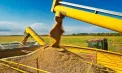 Fermierii cer urgent reintroducerea licențierii importului cerealelor și oleaginoaselor, după scăderea prețurilor: „Consecințele pentru fermierii autohtoni pot fi catastrofale”