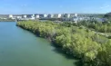 Dunărea pune presiune pe sistemul energetic. Scufundarea barjelor pentru protejarea reactorului 2 Cernavodă, amânată după noi analize și probleme birocratice - VIDEO