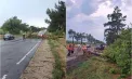 Copaci și crengi căzute pe mai multe drumuri naționale după ploile puternice. Drumarii au intervenit, iar circulația a fost restabilită – FOTO
