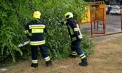 Un copac a căzut peste o mașină la Rîșcani, iar mai multe acoperișuri au fost distruse în urma ploilor puternice: IGSU a intervenit în 10 cazuri în nordul și centrul țării