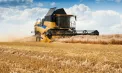 Fermierii nu acceptă majorarea cotei TVA cu 12% la cereale și oleaginoase și cer de urgență întâlnire cu autoritățile: „Ultima picătură”