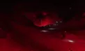 Spectacol de foc la „capătul lumii”: peste 120 de schiori au coborât cu torțe aprinse pe ghețarul Martial din Ushuaia - VIDEO