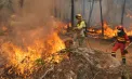 Turiștii care merg în Spania pentru eclipsa de Soare ar putea declanșa noi incendii „devastatoare”. Măsuri anunțate de autorități