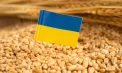 Ucraina cere UE un ajutor de 220 de milioane de euro pentru agricultorii afectați de război și secetă