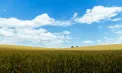Temperaturi de până la 27 de grade la Chișinău și 28 de grade în sudul Republicii Moldova. Cum va fi vremea în wekeend