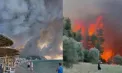 Turiștii din Halkidiki sunt evacuați. Un incendiu uriaş a izbucnit joi în nordul Greciei - VIDEO
