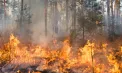 Cod galben de pericol de incendiu în toată Republica Moldova: avertizare valabilă între 15 și 21 august