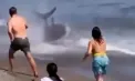 O creatură uriașă a provocat panică pe o plajă din Marbella. Turiștii au crezut că este un rechin și au alergat spre mal - VIDEO
