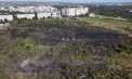 Incendiu de vegetație în sectorul Botanica: pompierii au luptat aproape patru ore cu flăcările  – VIDEO