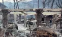 Incendiile de vegetație nu lasă Europa să respire. Două focare izbucnite din senin pe insula grecească Salamina au luat două vieți, iar în Belgia un incendiu a distrus mii de hectare - VIDEO