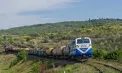 Ministerul Agriculturii face claritate după îngrijorările agricultorilor privind tranzitul cerealelor ucrainene: „Producătorii moldoveni au prioritate la transport” - FOTO