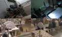 Fabrică ilegală de țigări, descoperită în Slovacia. Printre cei reținuți sunt și moldoveni. Momentul în care suspecții sunt încătușați - VIDEO