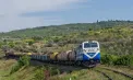 Guvernul va propune licențierea importurilor de cereale. Tofan: „Încercăm să protejăm producătorii și exportatorii moldoveni”