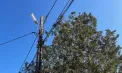 Un angajat al Poliției de Frontieră din Lipcani a murit după ce a fost electrocutat: încerca să îndepărteze crengile căzute peste gard după furtună
