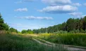 Vreme caldă în toată Republica Moldova: maxime de până la 32 de grade. Ce ne așteaptă în următoarele zile