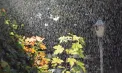 Cod Galben de ploi puternice în mai multe regiuni ale Republicii Moldova. Când intră în vigoare avertizarea - FOTO