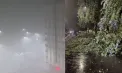 Furtuna a făcut ravagii la Ungheni: zeci de arbori doborâți, mașini avariate și pene de curent. Autoritățile intervin de urgență - FOTO/VIDEO