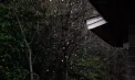 Cer noros și ploi cu descărcări electrice: cum va fi vremea în toate regiunile țării. Prognoza meteo