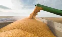Importurile de cereale și oleaginoase, vor fi licențiate temporar pentru protejarea agricultorilor autohtoni. Proiectul, votat în prima lectură 