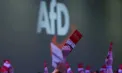 Alegeri cruciale în Germania: Extrema dreaptă AfD conduce detașat în sondaje. Ce îi determină pe alegători să o susțină - VIDEO