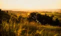 Temperaturi de până la 26 de grade la Chișinău și 27 de grade în sudul Republicii Moldova. Cum va fi vremea marți