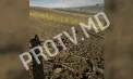 Primele imagini cu drona căzută la Rîșcani: impactul a lăsat un crater uriaș, iar resturile aparatului s-au împrăștiat în jur - FOTO/VIDEO