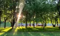 Temperaturile ridicate se mențin în Republica Moldova, cu până la 31 de grade. Unde va fi cel mai cald joi
