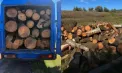 Trei mașini încărcate cu lemn obținut ilegal, depistate în raionul Leova: autoritățile verifică proveniența masei lemnoase și prejudiciul cauzat mediului - VIDEO