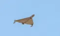 Două drone au intrat neautorizat în spațiul aerian al Republicii Moldova în aceeași dimineață: una a survolat zona Palanca, iar alta a ajuns în apropierea regiunii transnistrene - VIDEO