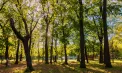 Sfârșit de săptămână cu temperaturi generoase: 26 de grade se vor înregistra în sudul Republicii Moldova. Cum va fi vremea în următoarele zile