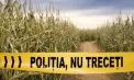 Noi detalii despre cele două persoane găsite moarte într-un lan de porumb din raionul Rezina: una dintre femei a depus anterior o plângere pe bărbatul suspect. Ce spune poliția