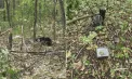 Fragmente ale unei drone, depistate la Briceni, la aproximativ 1,7 kilometri de frontiera cu Ucraina. Zona a fost izolată - FOTO