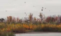 Sunt așteptate ploi slabe în sudul Republicii Moldova, cu maxime de 23 de grade. Ce temperaturi sunt prognozate în celelalte regiuni