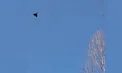 Dronă detectată în România, lângă granița cu Ucraina. Locuitorii din nordul Tulcei, alertați în toiul nopții