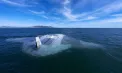 Un nou incident între Iran și Statele Unite: Gardienii Revoluției susțin că au capturat o dronă americană subacvatică - VIDEO