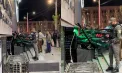 Accident grav lângă IGP: un Mustang a ajuns pe trotuar și s-a izbit de un magazin. Imagini de la locul impactului - VIDEO