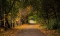 Vreme caldă în Republica Moldova. Până la 21 de grade se vor înregistra în sudul țării. Când se răcește