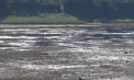 „N-am văzut de când sunt așa ceva”: Nistrul s-a retras dramatic la Soroca, iar în unele sectoare oamenii spun că pot traversa râul pe jos - VIDEO