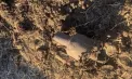 Șase aparate de zbor, detectate în Moldova în 15 minute: Au fost raportate explozii și pagube. Ce spun localnicii - VIDEO
