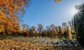 Vreme caldă în toată Republica Moldova, cu maxime de până la 25 de grade. Cum va fi vremea în următoarele zile