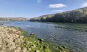Situația pe Nistru și Prut rămâne critică: Hajder spune că autoritățile trebuie să se pregătească pentru scenarii în care nivelul apei va continua să scadă, iar precipitațiile vor lipsi
