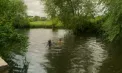 Experiment social neobișnuit în Anglia. Aproape 20 de persoane au trăit o zi ca animalele pentru a înțelege mai bine lumea lor - VIDEO 