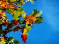 Vreme caldă în toată Republica Moldova. Temperaturile vor ajunge până la 26 de grade