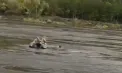 Doi grăniceri ucraineni au traversat ilegal frontiera în timp ce încercau să oprească un bărbat care voia să ajungă în Moldova. Militarii au fost reținuți, iar pe acest caz a fost pornită urmărirea penală - VIDEO