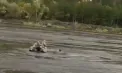 Ucraineanul bătut de grăniceri în timp ce traversa înot Nistrul cere azil în Republica Moldova. Ce s-a întâmplat cu cei doi militari