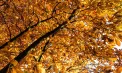 Ploi slabe în nordul țării și maxime de 17 grade în sud: Ce temperaturi se vor înregistra la Chișinău